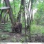 В Витимском заповеднике восстановили солонец, разрушенный медведем