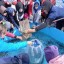 Пятьдесят тысяч мальков сазана выпустили в Ангару в Иркутске