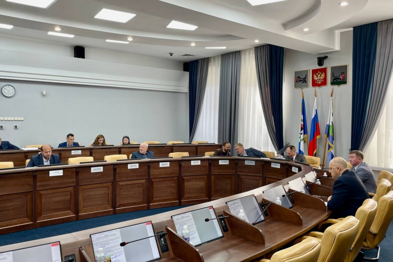 Комиссия Думы Иркутска согласовала изменения муниципальной программы "Общественная жизнь"