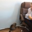 В Красноярском крае полицейские приютили сбежавшую из дома кошку