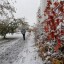 Снегопад в Братске продлится и на выходных