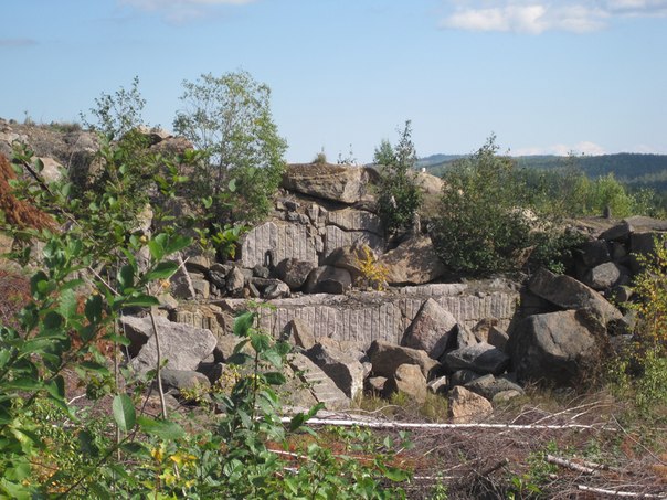 Общественность спросят по поводу создания в Шелеховском районе природного парка «Витязь»
