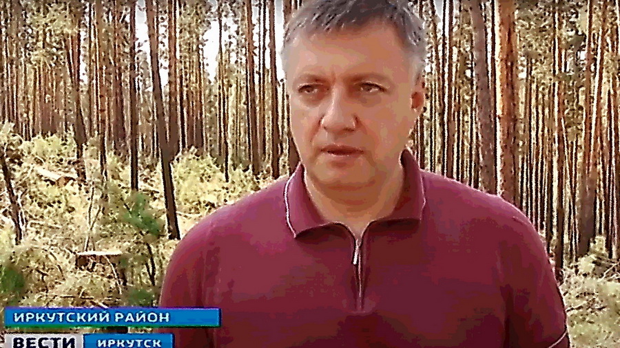 Игорь Кобзев: «К 2024 году лесные арендаторы будут высаживать по новому дереву за каждое вырубленное»