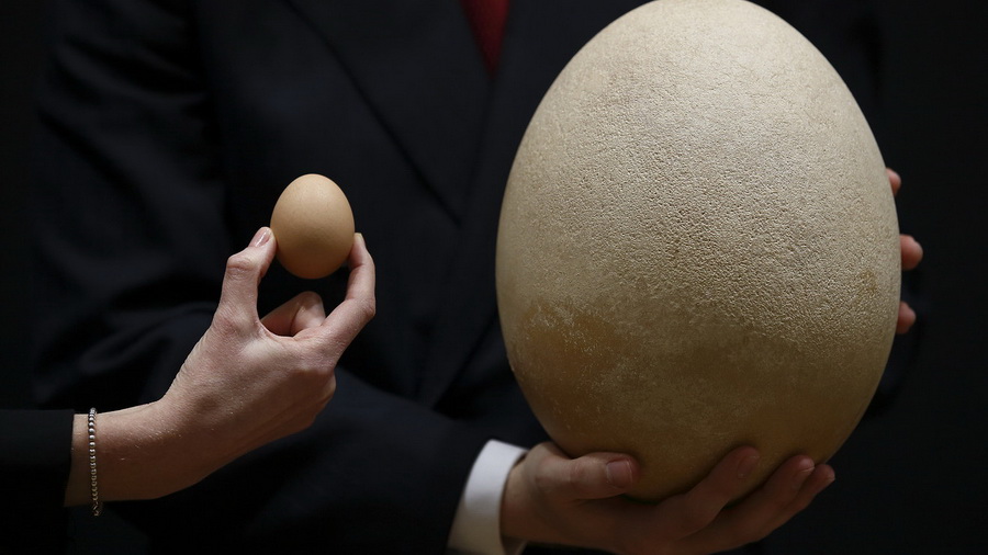 Несуществующие яйца продали мошенники директору кондитерской фабрики в Иркутске