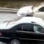 Лихач, сбивший насмерть подростка в Иркутске, попал на видео. Его ищет полиция 2
