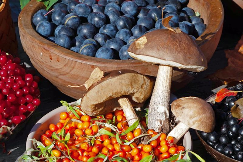 Поборы для малоимущих: иркутский предприниматель предложил ввести налог на грибы