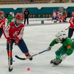 Серебряную медаль в турнире по мини-хоккею с мячом «Ледовая дружина» завоевала иркутская команда «Си