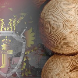 В Иркутске вынесен приговор по уголовному делу о контрабанде древесины стоимостью свыше 10 млн рубле