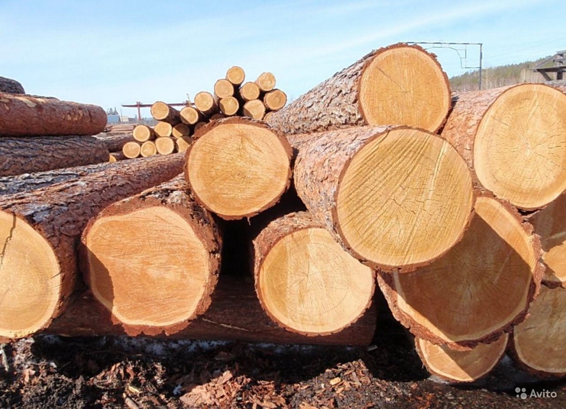 В Иркутской области предлагают создать «сквозную» очередь на покупку древесины для жителей