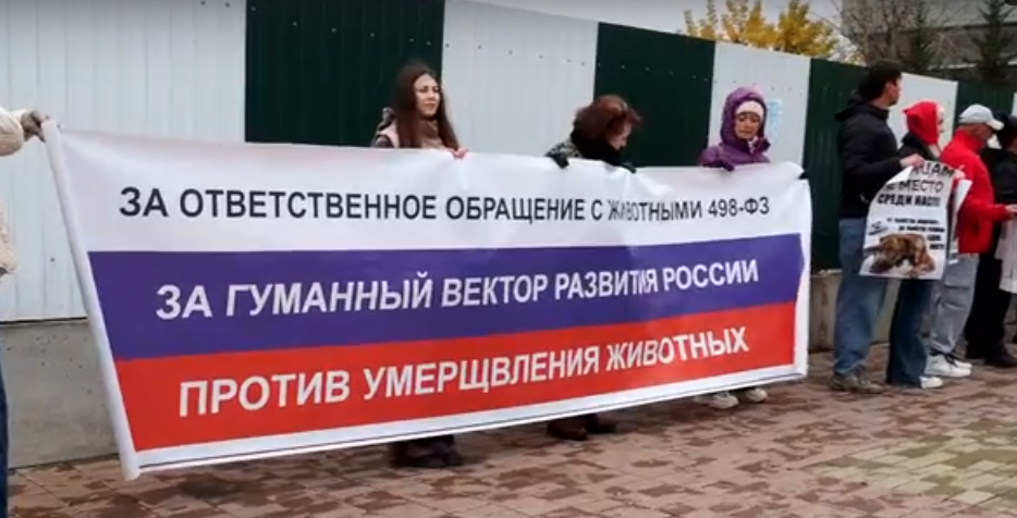 Когда молчание убивает: в Иркутске состоялся митинг в защиту животных