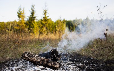 ​В Прибайкалье поджигатель избавился от мусора и 11 гектаров леса