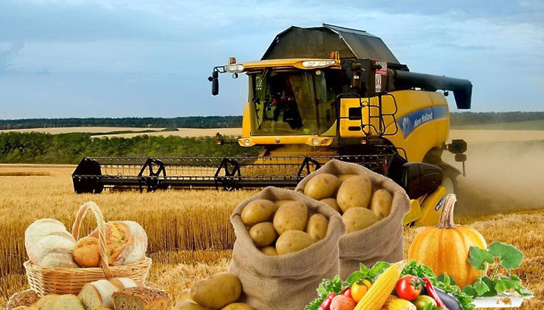 Сельхозпроизводители Иркутской области подвели итоги.