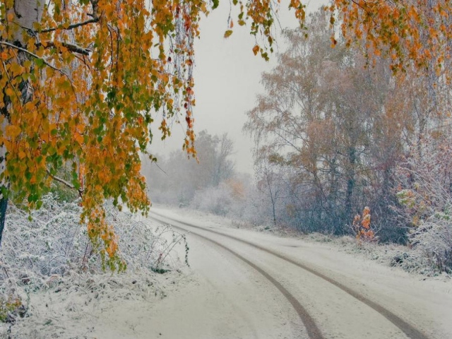 Погода в Иркутске: снег и похолодание обещают горожанам синоптики