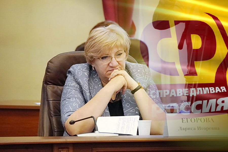 Лариса Егорова о новой версии закона Иркутской области "О транспортном налоге"