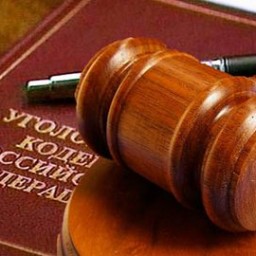 В Иркутской области транспортный прокурор в суд направил уголовное дело о контрабанде древесины стои