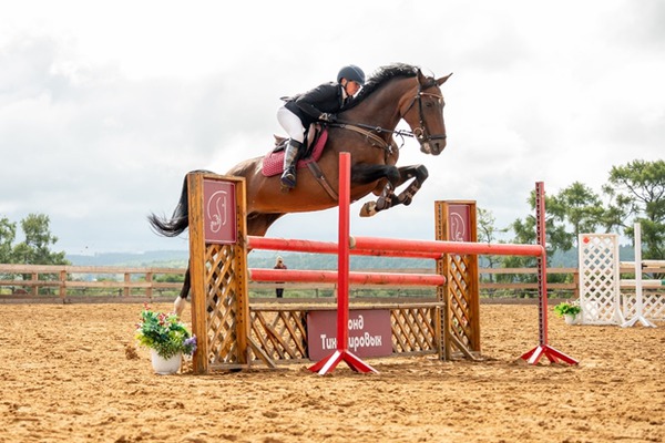 Иркутян приглашают на соревнования по конкуру