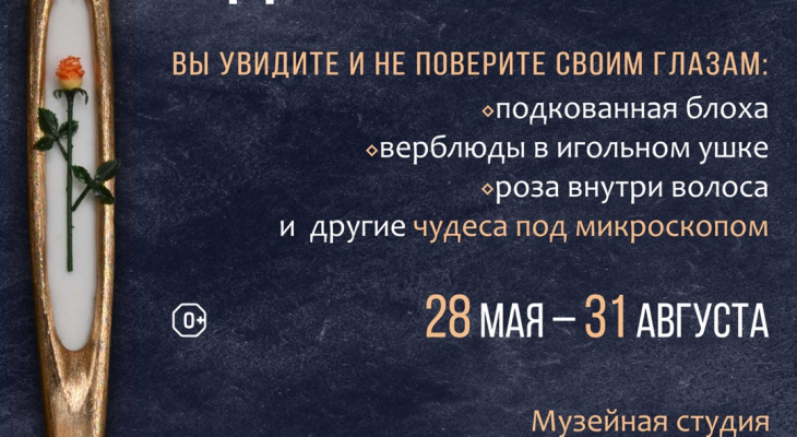 В Музейной студии работает выставка микроминиатюр "Шедевры микроискусства" новосибирского мастера Владимира Анискина