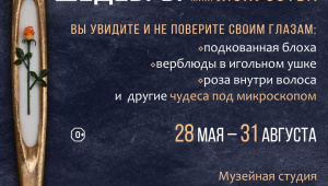 В Музейной студии работает выставка микроминиатюр "Шедевры микроискусства" новосибирского мастера Владимира Анискина