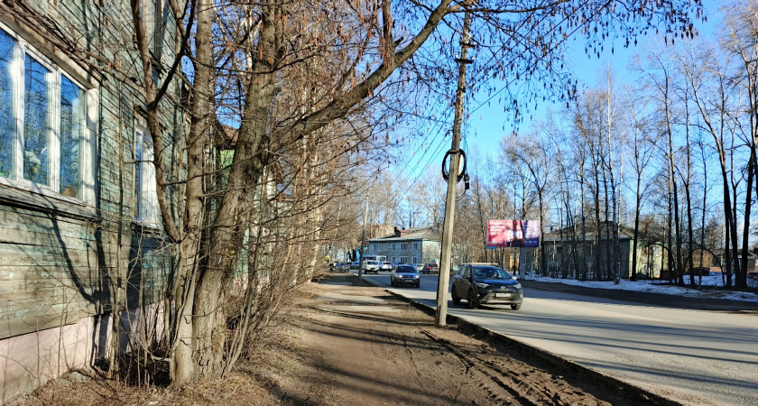 Вот за сколько метров нужно замедлиться перед камерой, чтобы не получить штраф за скорость
