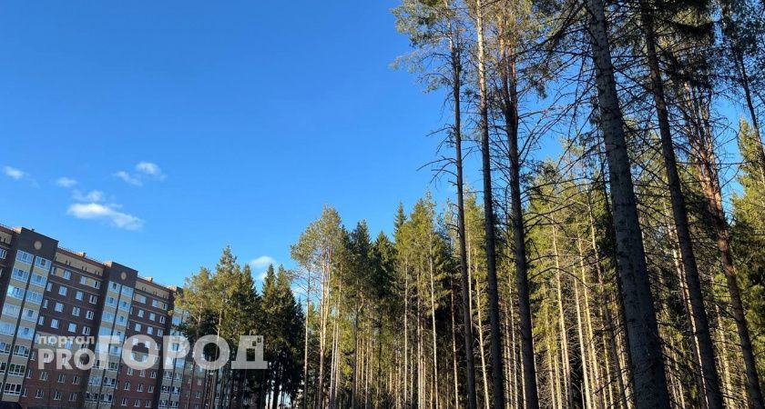 Капризы природы не отступают: прогноз погоды на 2 мая в Иркутской области