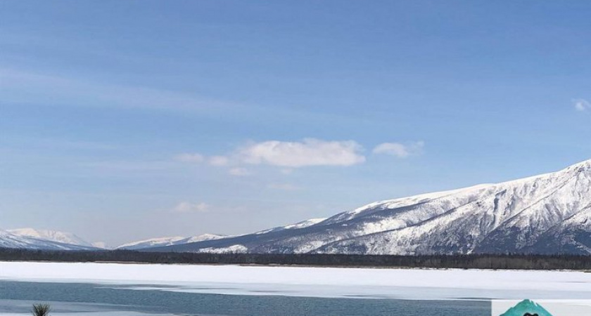 Серые журавли вновь прилетели в Иркутскую область