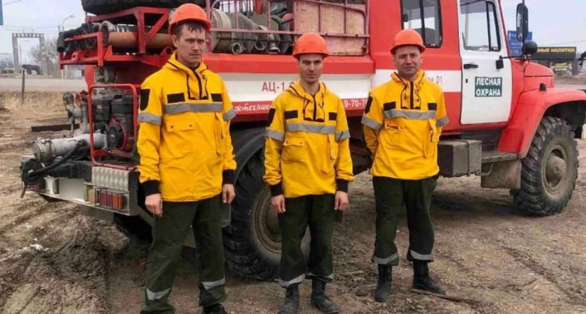 В Иркутской области начали активнее контролировать леса