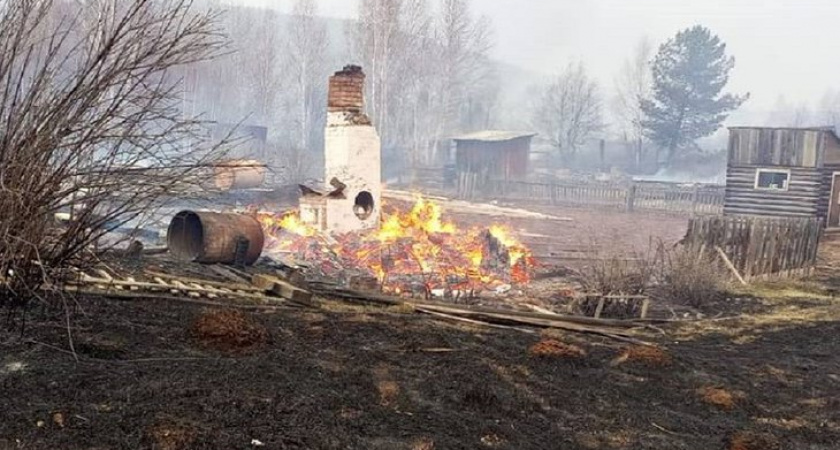 В Иркутской области огонь уничтожил 30 дач из-за мгновенного распространения по сухой траве