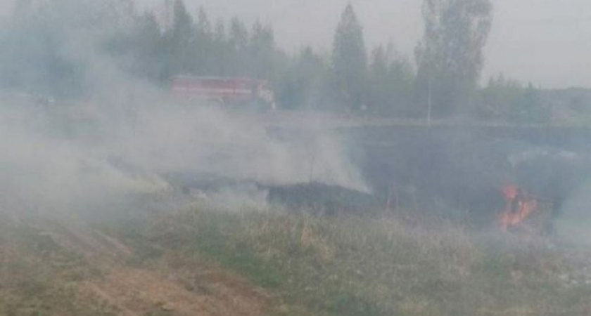 В Иркутской области мужчины устроили два ландшафтных пожара за двое суток