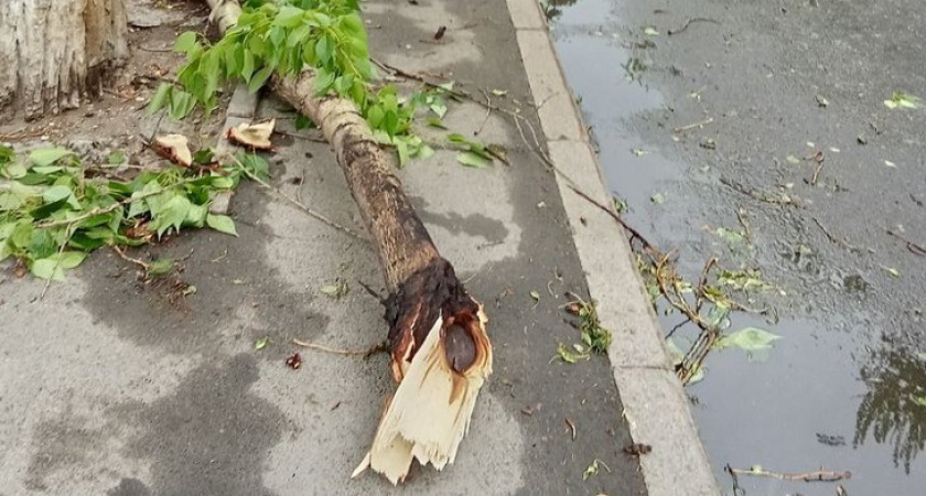 В Иркутске устраняют последствия ночного урагана