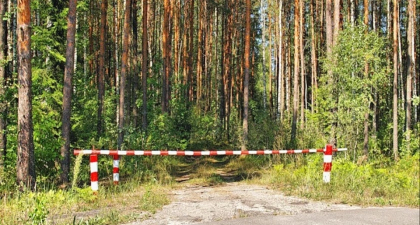 В северных лесах Иркутской области вводят жёсткие ограничения из-за жары