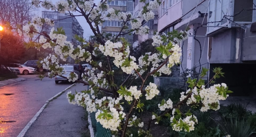 Аномально адская жара в июне и аномально засушливый июль: синоптики сообщили точный прогноз на лето-2025