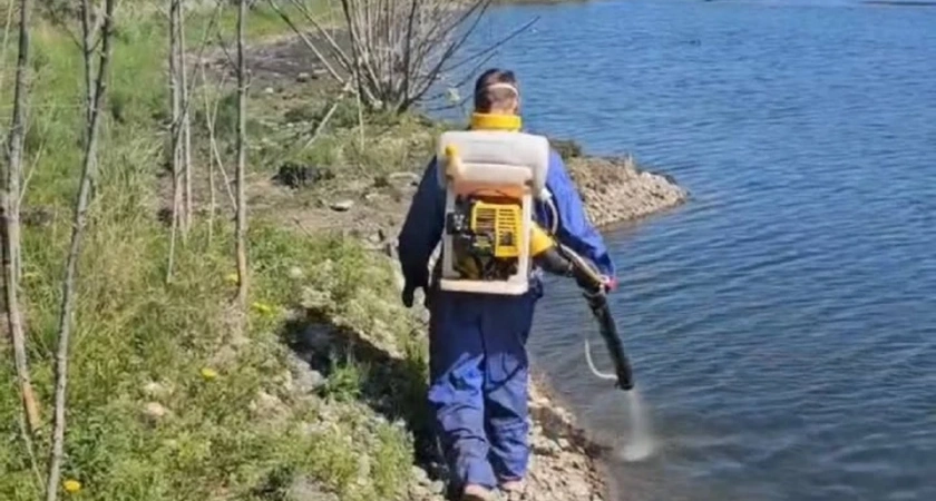 В Иркутске обработали водоемы от малярийных комаров