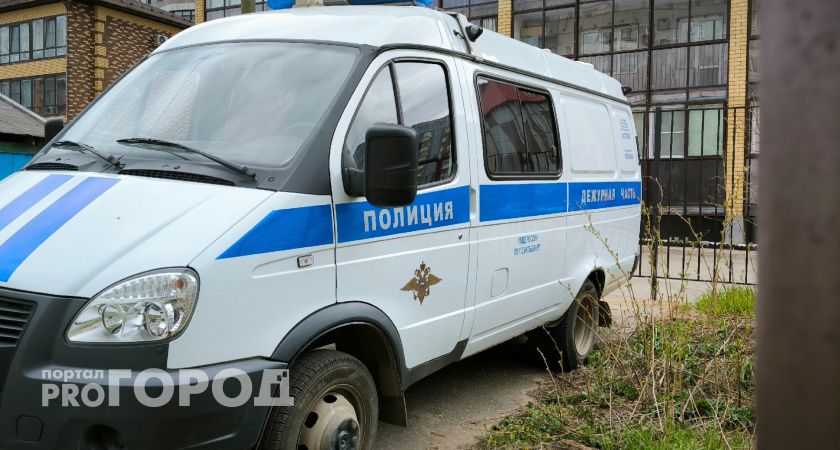 В Иркутской области полиция устроила погоню за пьяным подростком