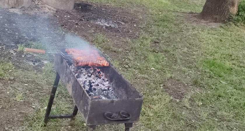 С 17 июня будет полностью запрещён отдых на природе: любителям чистого воздуха потребуется найти другие места