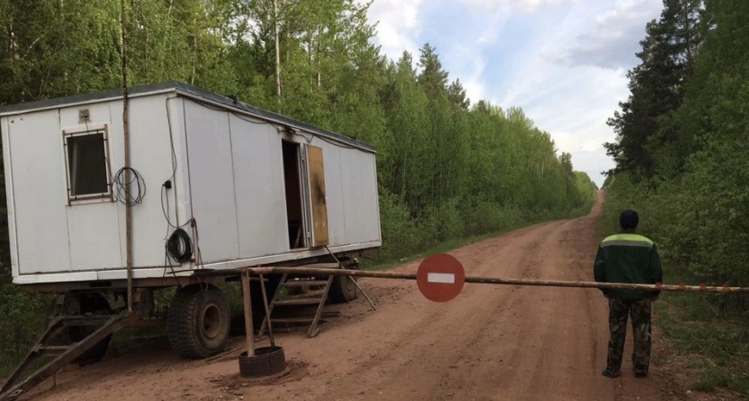 В Иркутской области возвращают временный запрет на посещение лесов из-за высокой пожарной опасности