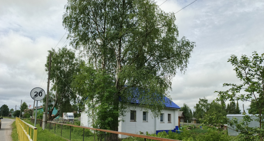 Спасает от муравьев за считанные минуты: просто растворяю йод в воде - записывайте рецепт