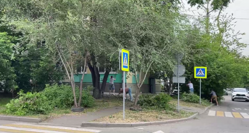 Иркутские педагоги провели экологическую акцию