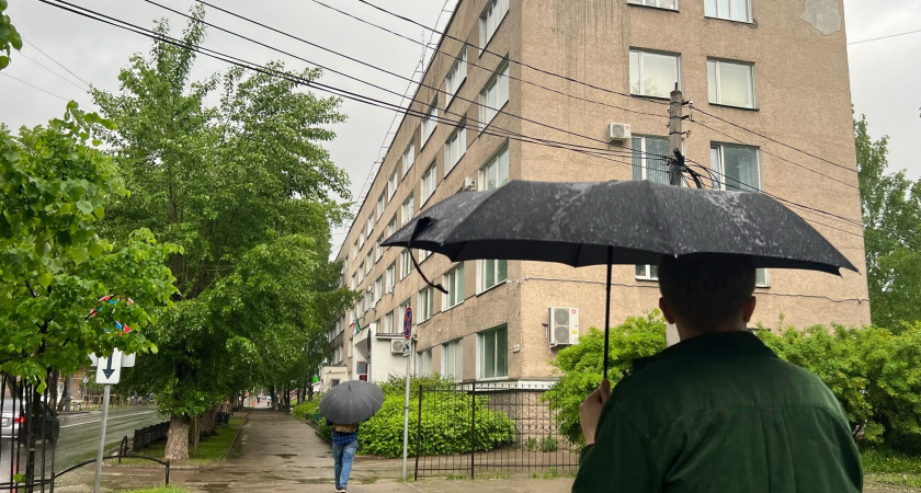Иркутскую область 3 июля ждет теплый день с кратковременными дождями