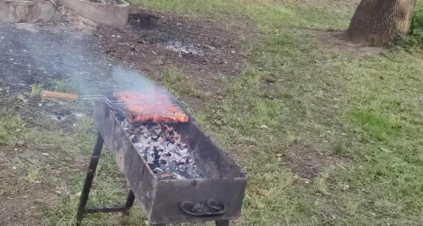 С 13 июля отдых на природе для россиян будет полностью запрещен: любителям свежего воздуха придется искать новое место