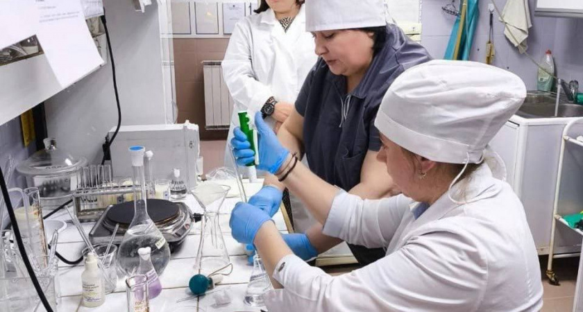 В Иркутской области оформили более миллиона ветеринарных документов за шесть месяцев