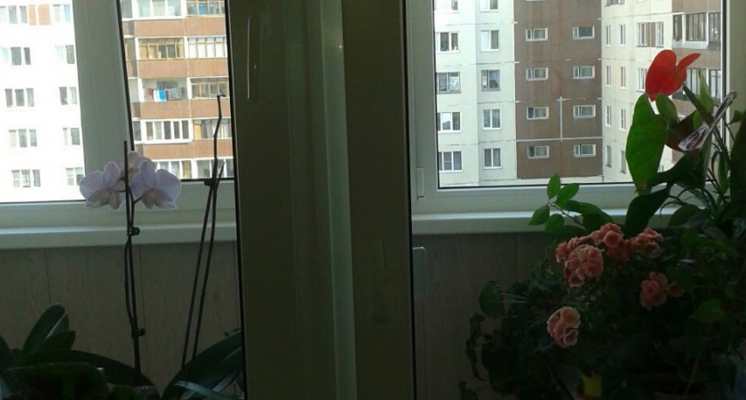 Всего одна ложка этого средства и окна не мою до следующего сезона: грязь к ним не липнет  — копеечный трюк, чтобы окна оставались чистыми м
