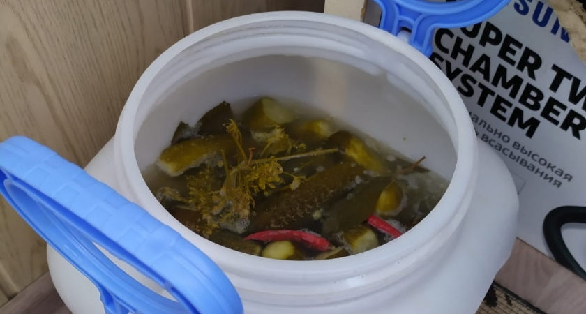 Хруст, который помнят: 4 рецепта малосольных огурцов, которые я делаю каждый сезон — родные просят все больше