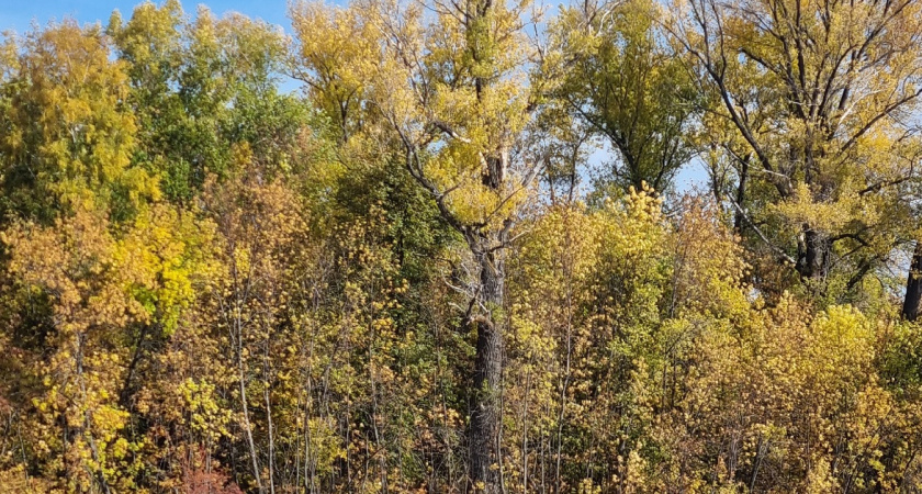 «Всплеск тепла» нагрянет в Россию: бабье лето подарит россиянам во второй половине сентября солнечные дни