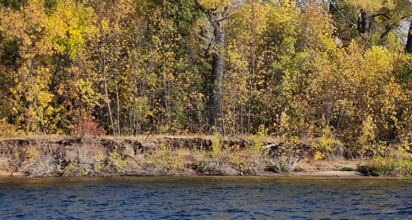 Отложите теплые куртки: сентябрь удивит аномальным теплом. Разбираем прогноз синоптиков по дням