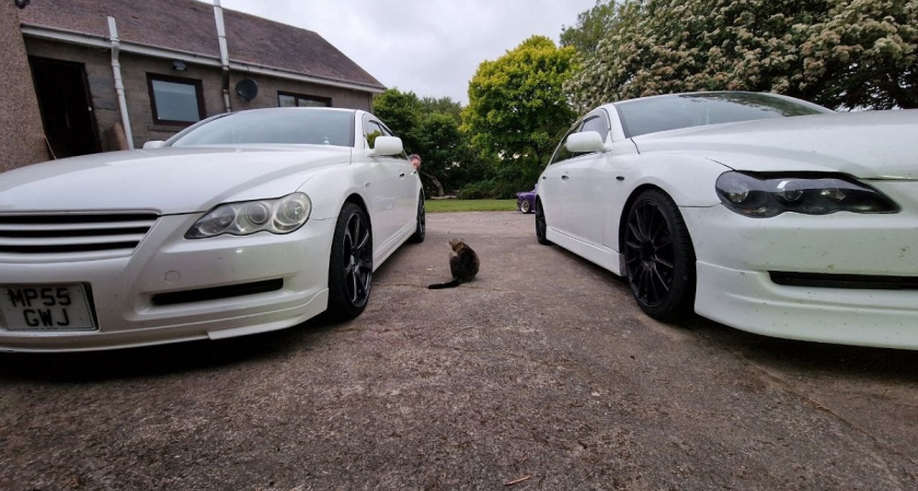 Штраф за мойку машины во дворе: миф или реальность - в каких случаях инспектор действительно может вас наказать