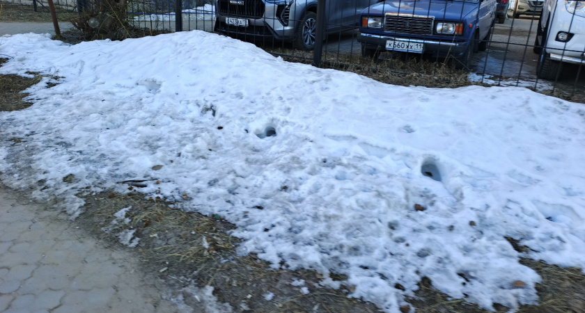 «Декабрь, январь и февраль будут такими». Синоптики сообщили новый прогноз на зиму