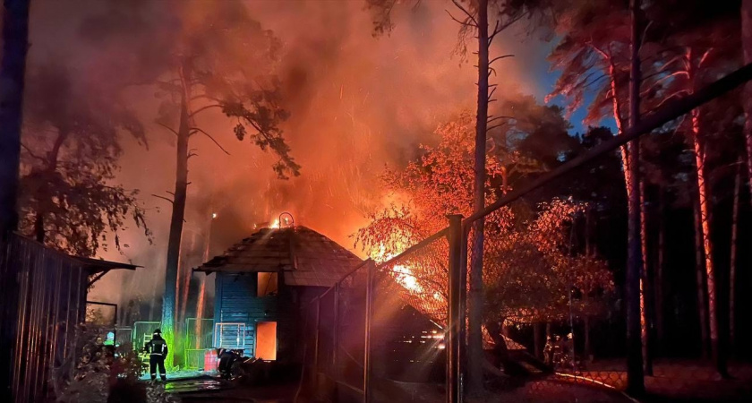 Крупный пожар в Новосибирском зоопарке унес жизни пяти животных