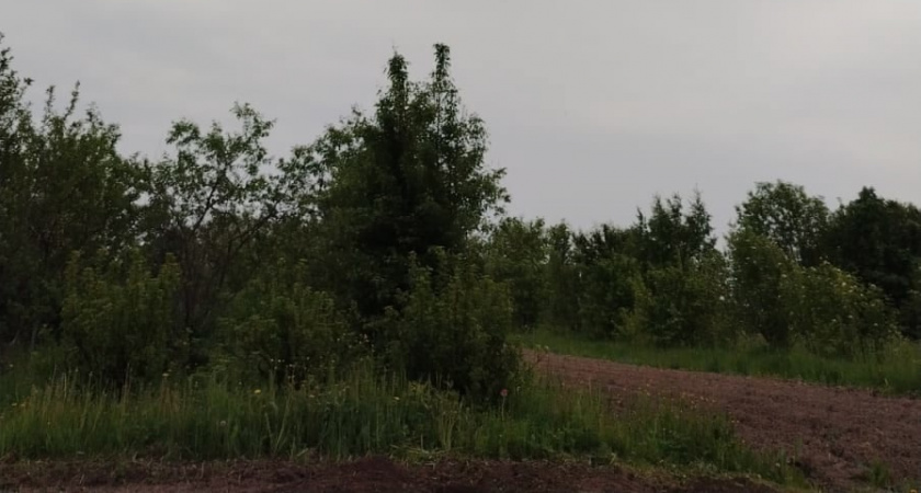 Октябрь будет аномальным: синоптики сообщили прогноз на середину осени