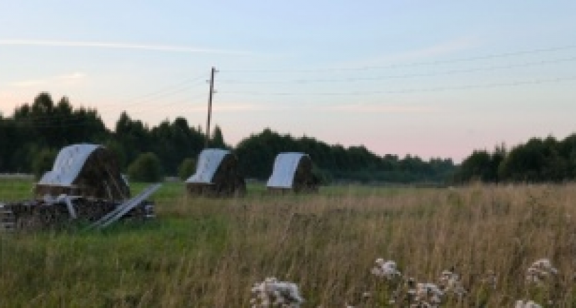 Первый Всероссийский агродиктант ждет участников из Иркутской области