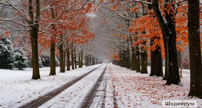 Циклон принесет в Иркутскую область первые зимние непогоды